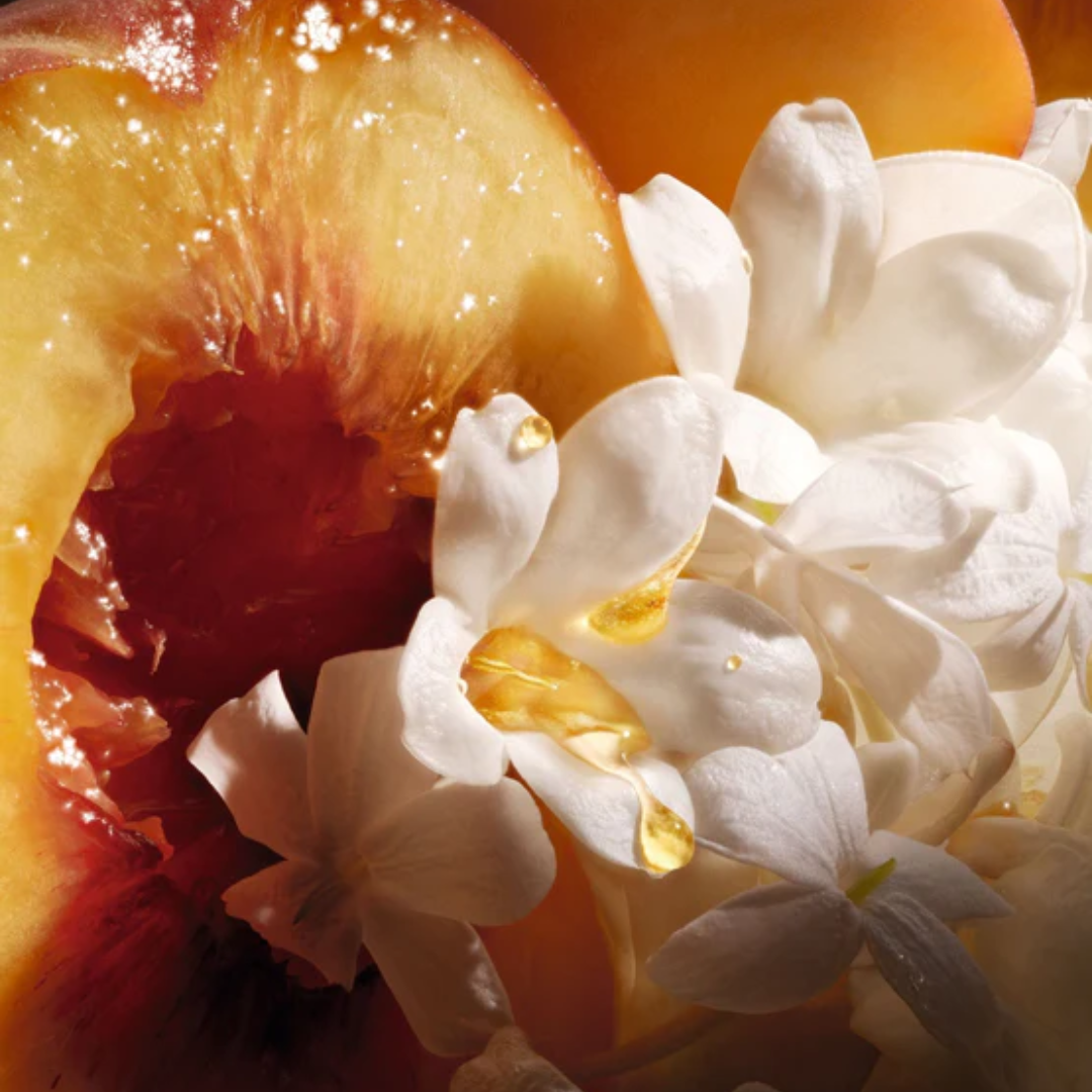 Jasmin Des Anges Dior