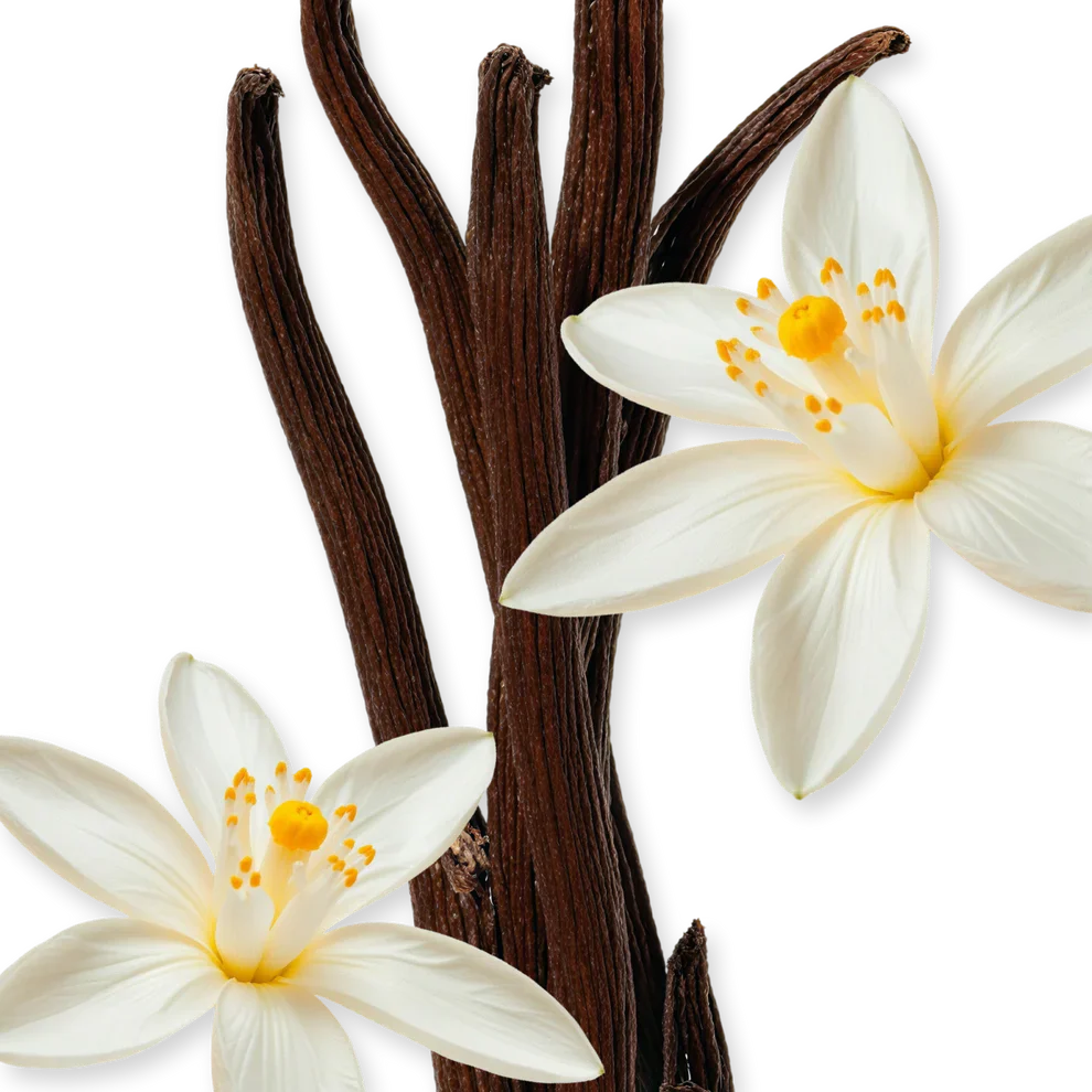 Althaïr Parfums de Marly