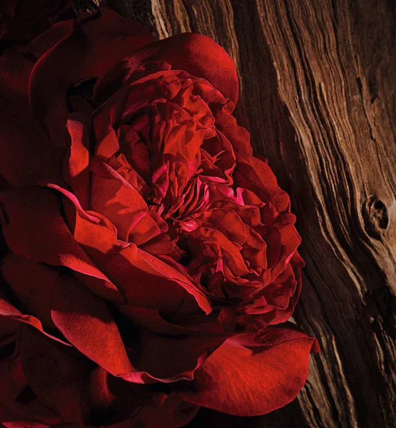 OUD ISPAHAN CHRISTIAN DIOR PARIS