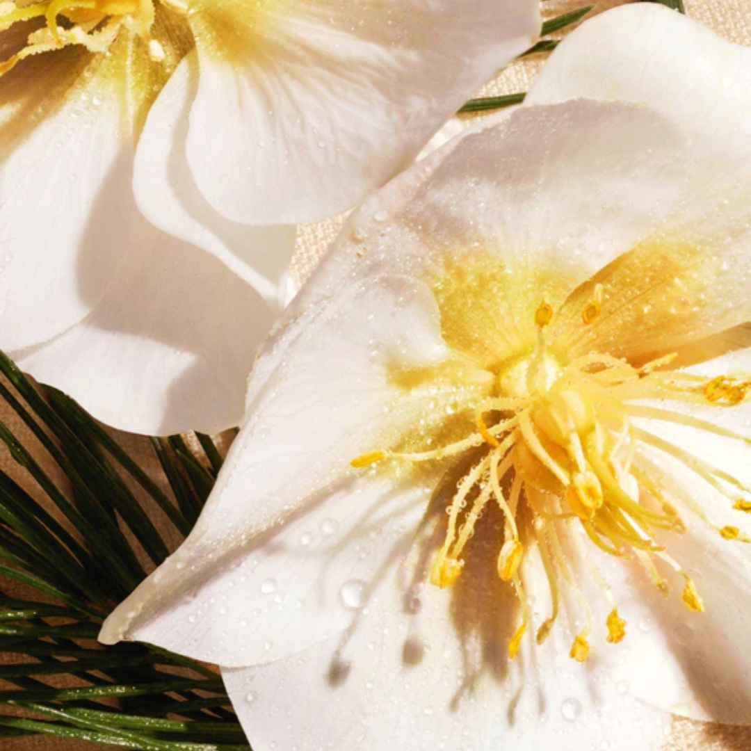 Eden-Roc Dior 125 ml