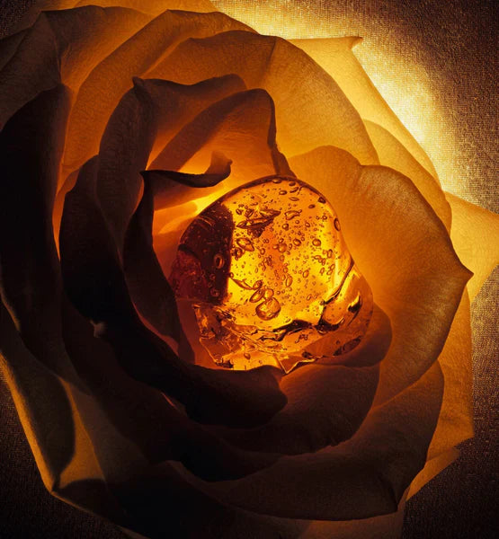 Ambre Nuit Dior 125 ml